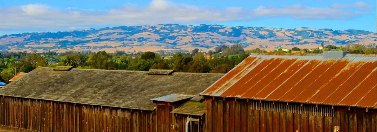 Canadian Wood Waste Recycling (CWWR) Business Group