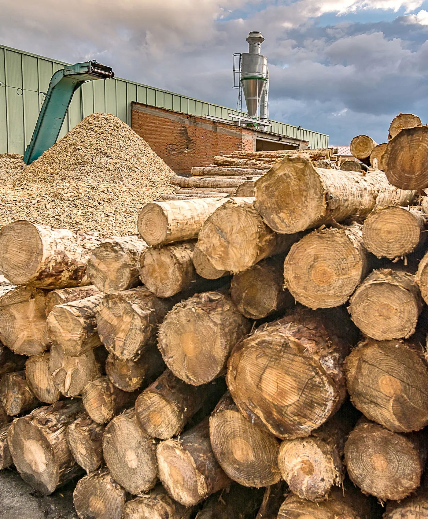 Wood Recycling Industry