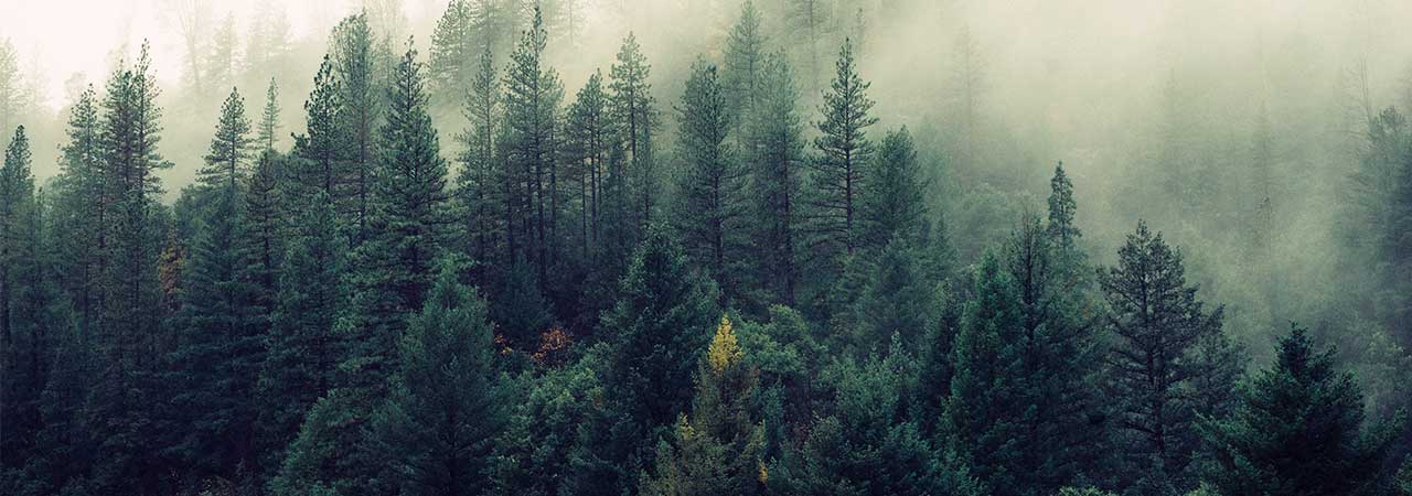 Canadian Wood Waste Recycling (CWWR) Business Group