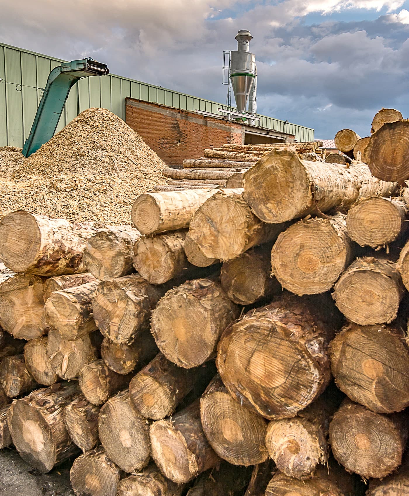 Wood Recycling Industry