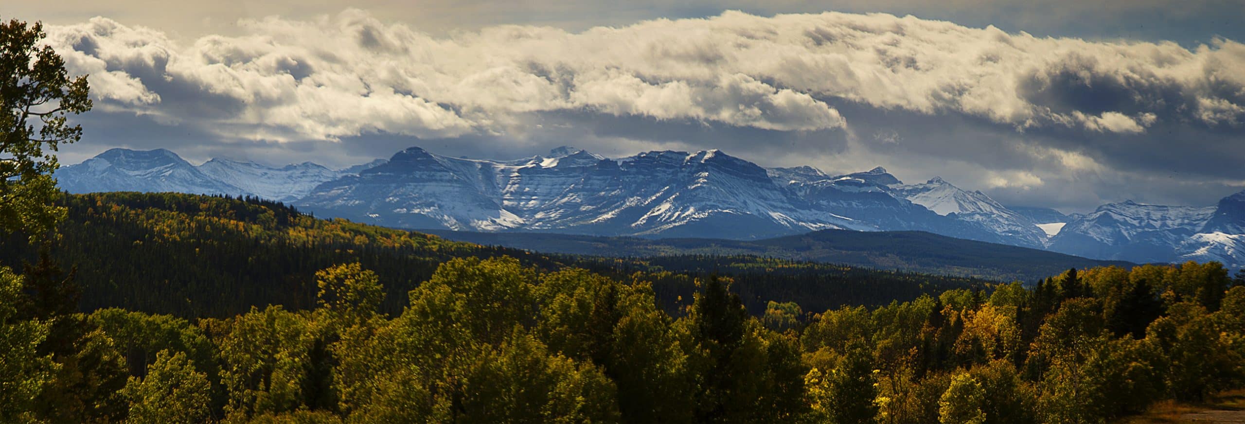 Canadian Wood Waste Recycling (CWWR) Business Group