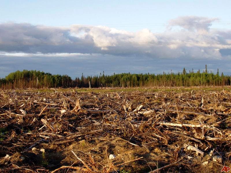 Canadian Wood Waste Recycling (CWWR) Business Group